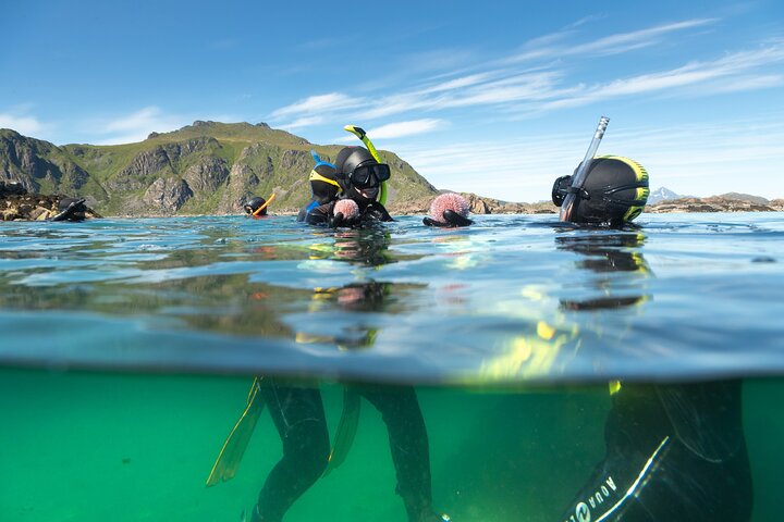 Family Snorkeling Tour