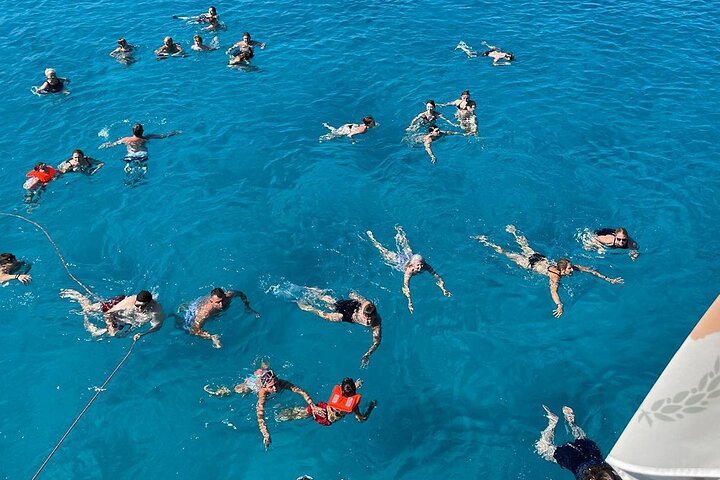 Medusa Cruises: 4-Hour Turtle Chill-Out Cruise / Lunch – Protaras