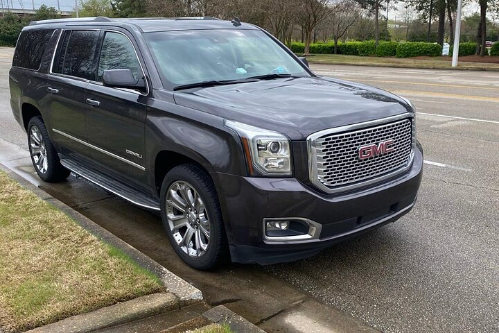 Private Transfer from Goloson Airport (LCE) to Banana Coast Port