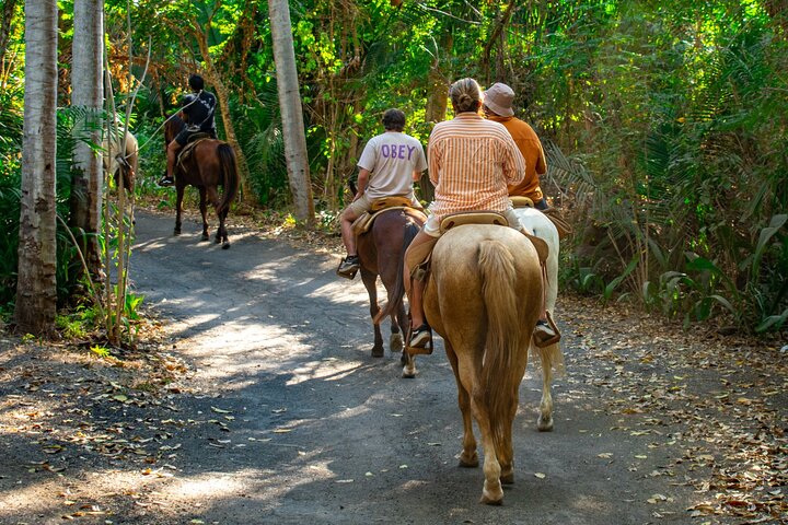 Horseback Riding in Sayulita Through Jungle Trails to the Beach