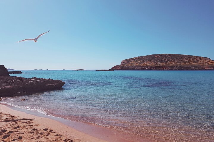 3 Hours All Inclusive Boat Trip Ibiza