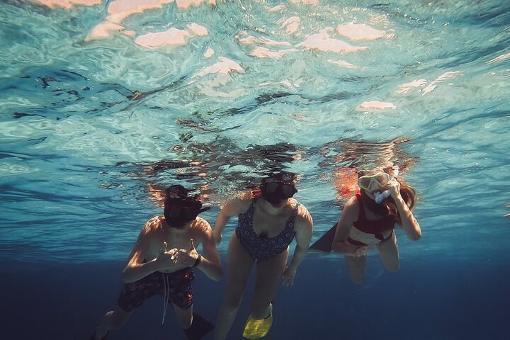 3-Stop Stingray City, Reef Snorkel & Starfish Point Tour