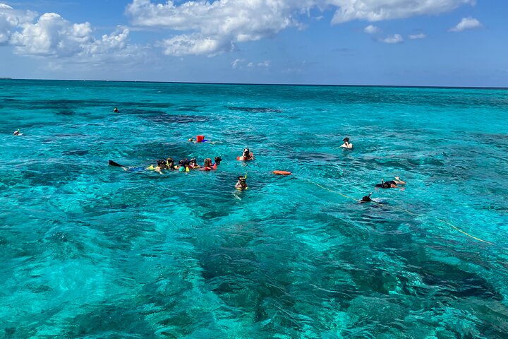3-Stop Stingray City, Reef Snorkel & Starfish Point Tour