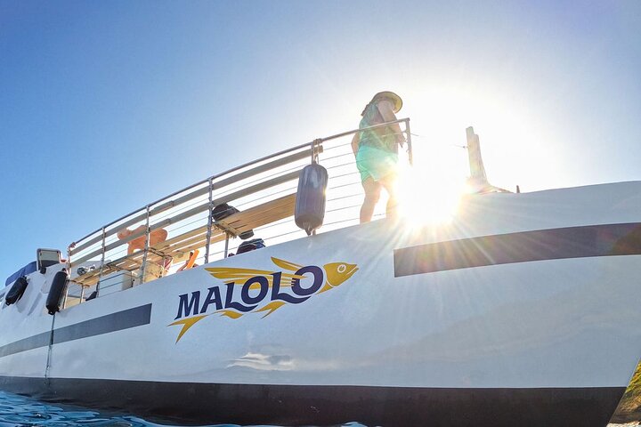 Maui Snorkeling Adventure to Molokini and Turtle Town