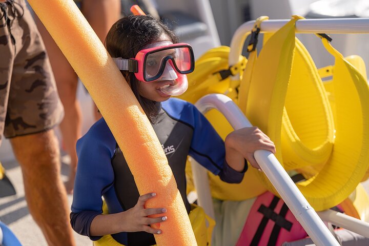Maui Snorkeling Adventure to Molokini and Turtle Town