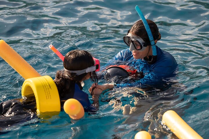 Maui Snorkeling Adventure to Molokini and Turtle Town