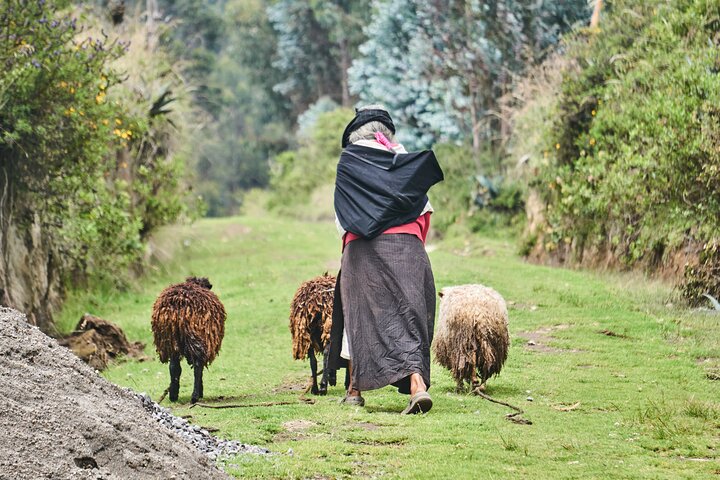 Private Full Day Tour of the Indigenous Culture of Ecuador