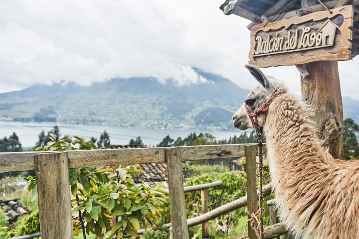 Private Full Day Tour of the Indigenous Culture of Ecuador