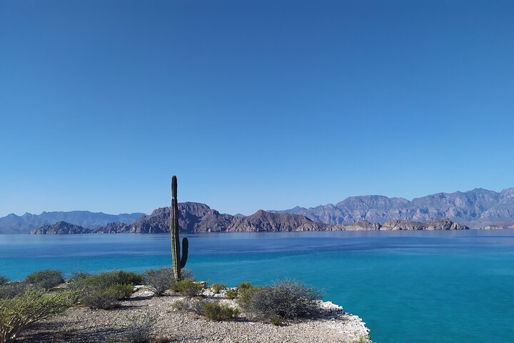 Danzante & Carmen Islands Private Adventure from Villa del Palmar