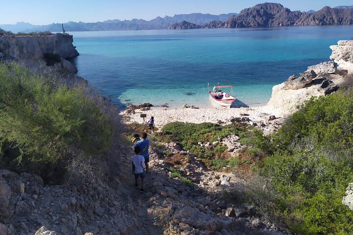 Danzante & Carmen Islands Private Adventure from Villa del Palmar