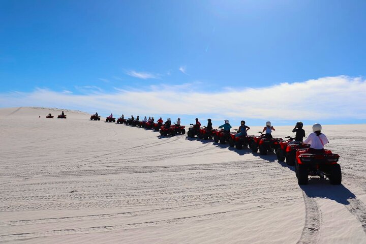 WILDX 60min Atlantis Dunes Cape Town QUAD BIKE ADVENTURE + PHOTO