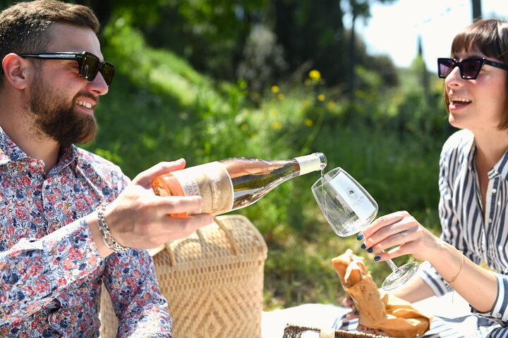 Tour of the vineyards and tasting of Evo wines and oil in Tuscany