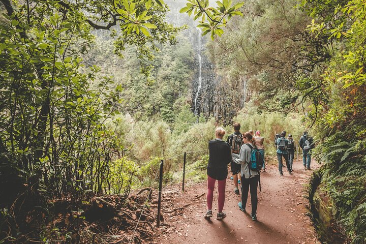 25 Fountains Levada: Hiking Tour in Madeira Rabaçal Valley (PR6)