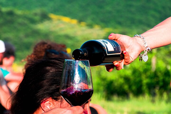 Tour of the vineyards and tasting of Evo wines and oil in Tuscany