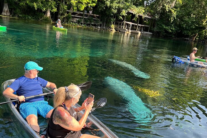 Silver Springs Clear Kayak Manatee, Monkey & Wildlife Adventures