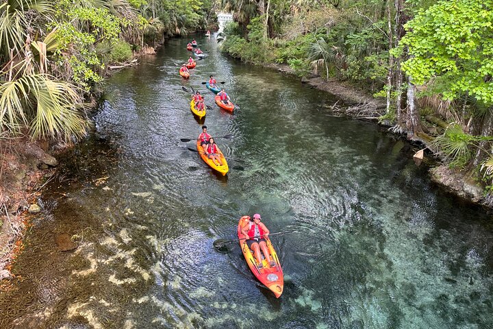 Silver Springs Clear Kayak Manatee, Monkey & Wildlife Adventures
