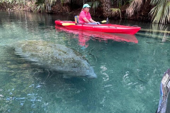 Silver Springs Clear Kayak Manatee, Monkey & Wildlife Adventures