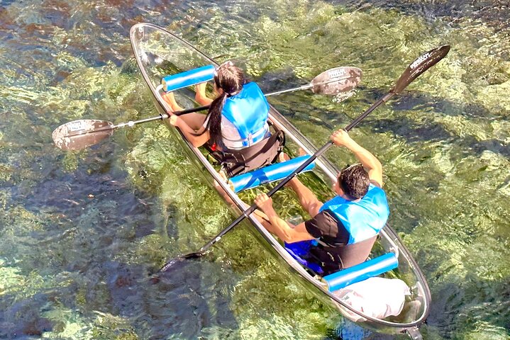Silver Springs Clear Kayak Manatee, Monkey & Wildlife Adventures