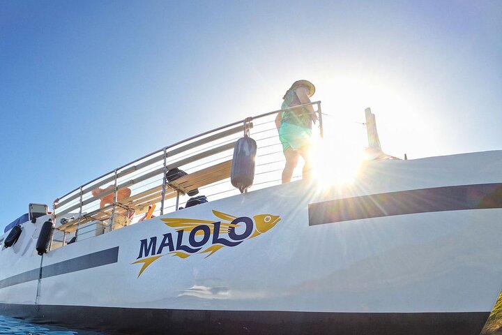 Maui Afternoon Snorkel Aboard Malolo to Molokini or Coral Gardens