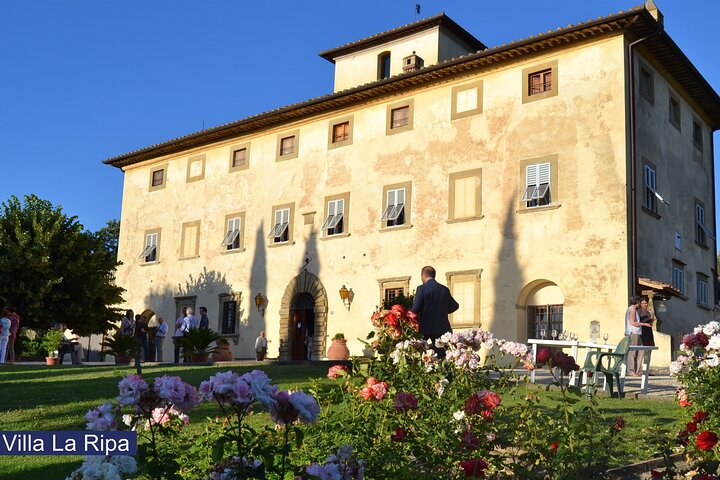 Tour of the vineyards and tasting of Evo wines and oil in Tuscany