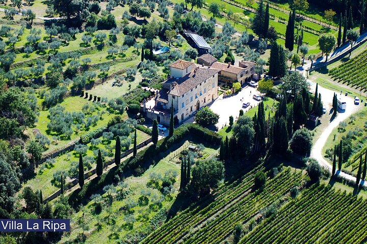 Tour of the vineyards and tasting of Evo wines and oil in Tuscany