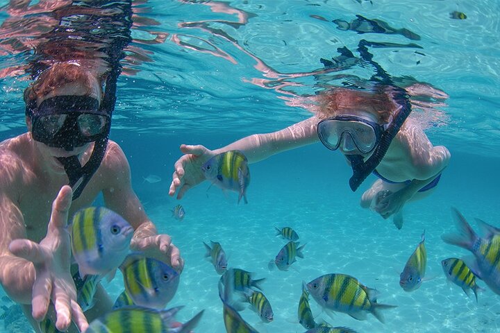 Punta Cana Family Catamaran Cruise with Snorkeling Adventure