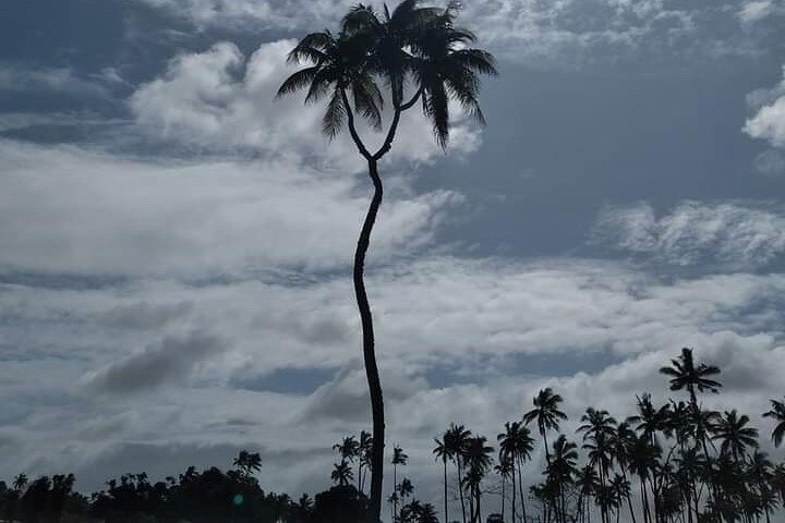 Exclusive Tour of Tongatapu