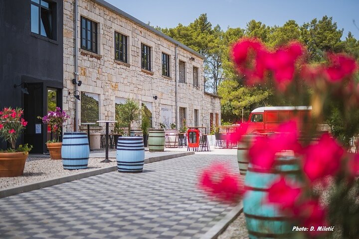 Korcula Wine and Sightseeing Tour Views Tastings and Stories