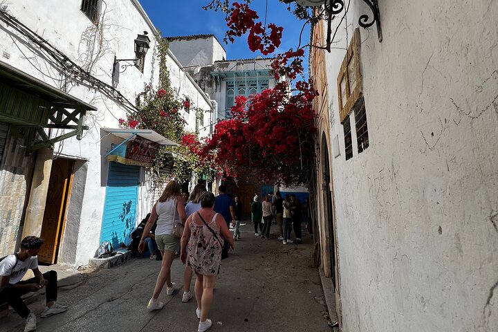 Private Day Trip Tunis Carthage Sidi Bou Said