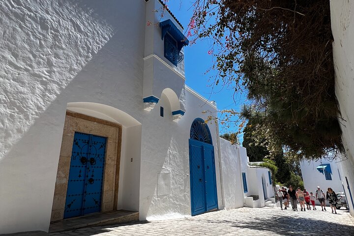 Private Day Trip Tunis Carthage Sidi Bou Said