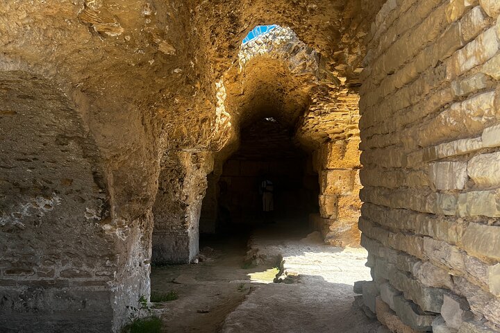 Private Day Trip Tunis Carthage Sidi Bou Said