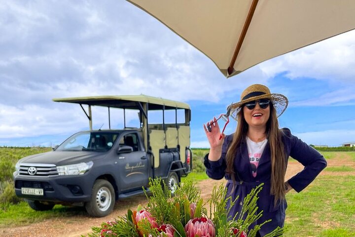 Vineyard Safari and Wine Tasting in Hermanus with Guide