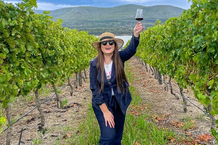 Vineyard Safari and Wine Tasting in Hermanus with Guide