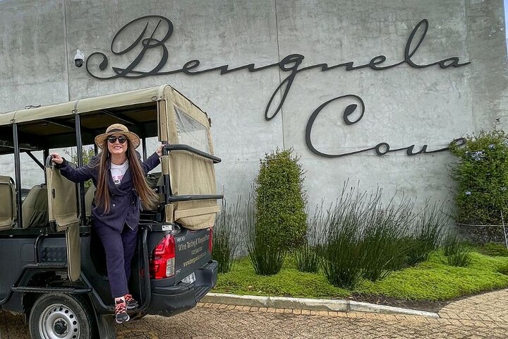 Vineyard Safari and Wine Tasting in Hermanus with Guide