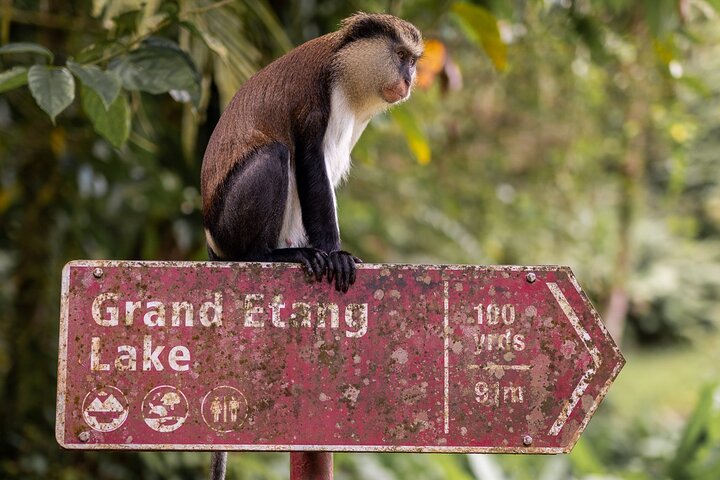 Explorer's Choice: Grenada Private Half Day Island Tour