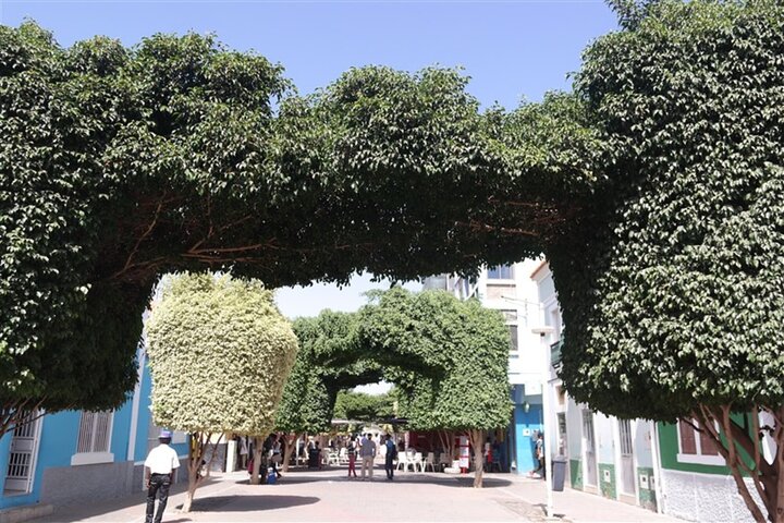 Guided city Tour Praia, Highlights tour