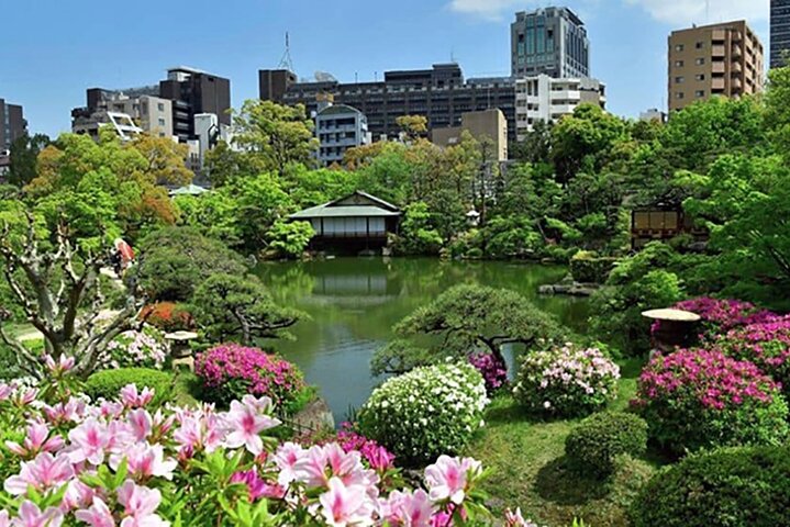 Kobe City's Best Gems - Private Shore Excursion from Kobe Port