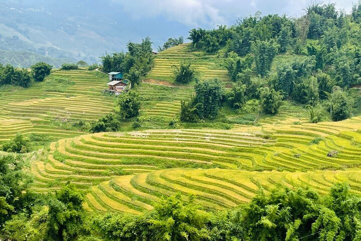 Sapa Motorbike Tour With Local Guide 1 Day - Waterfalls, Villages