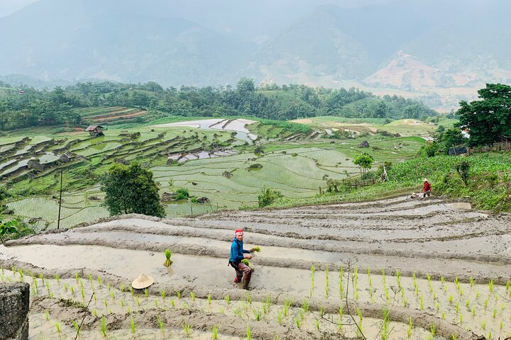 Sapa Motorbike Tour With Local Guide 1 Day - Waterfalls, Villages
