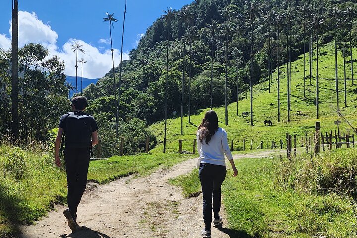 Salento, Cocora and Filandia Private Tour from Pereira or Armenia