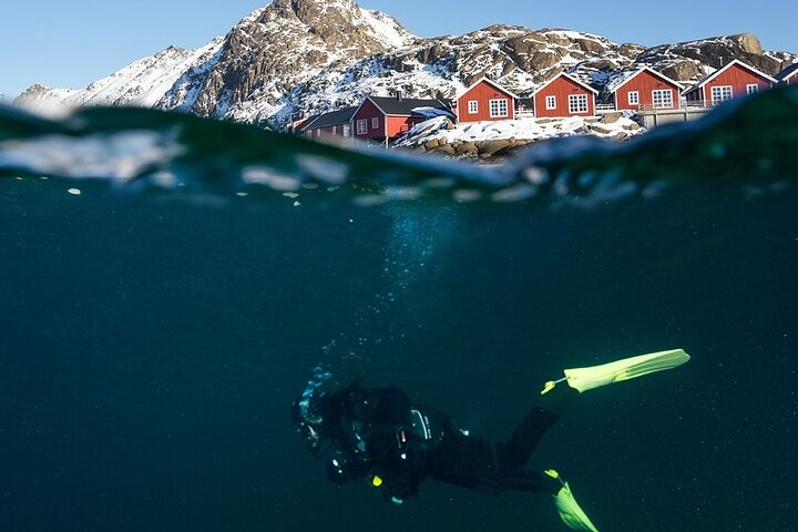 Unique Scuba Diving Experience