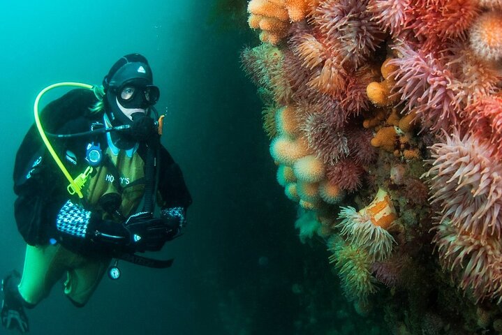 Unique Scuba Diving Experience