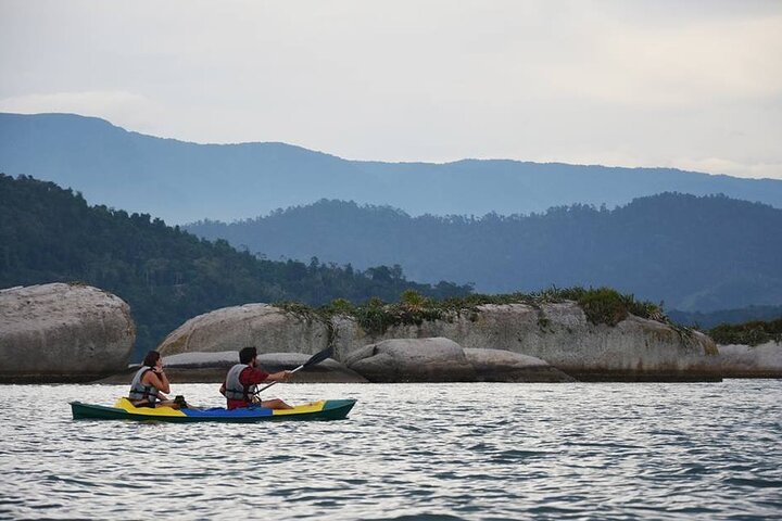 Kayaking to the mangroves & Capivaras