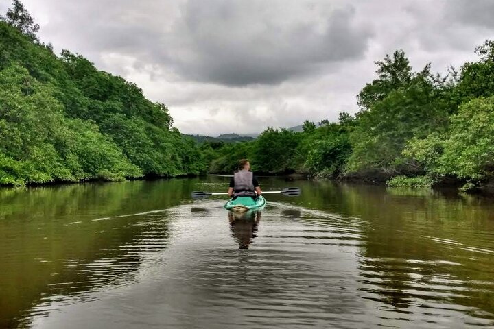 Kayaking to the mangroves & Capivaras