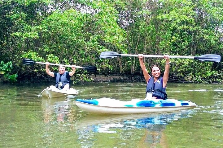 Kayaking to the mangroves & Capivaras