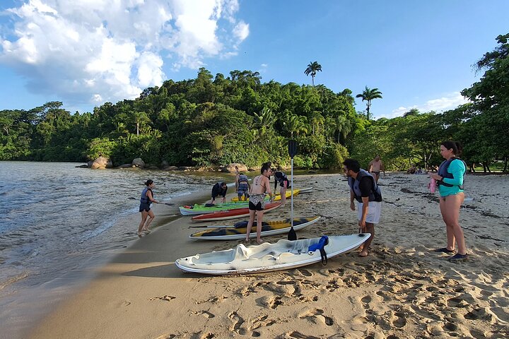 Kayaking to the mangroves & Capivaras