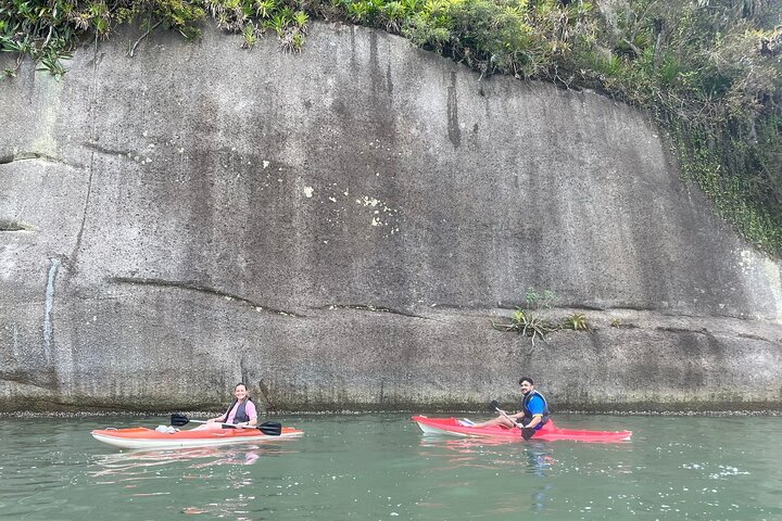 Kayaking to the mangroves & Capivaras