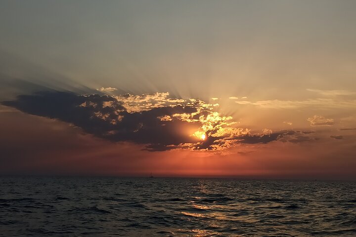 Dolphin Watching Sunset Speedboat Tour with Drinks in Rovinj
