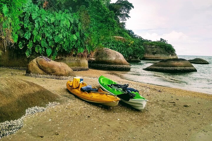 Kayaking Mangroves Natural reserve.