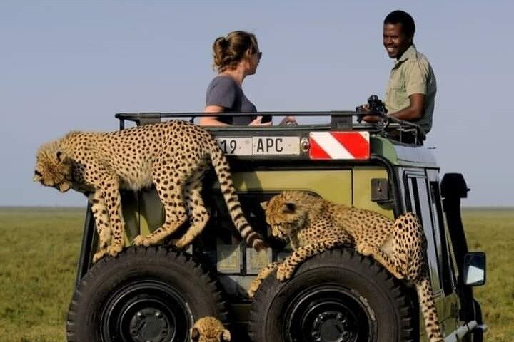 2 days Tarangire and Ngorongoro Group safari